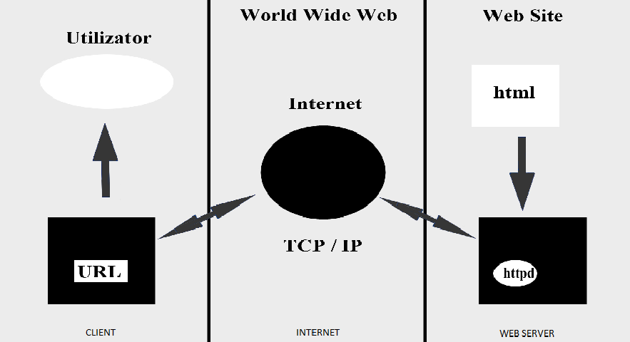 Fig: Tehnologia client-server 